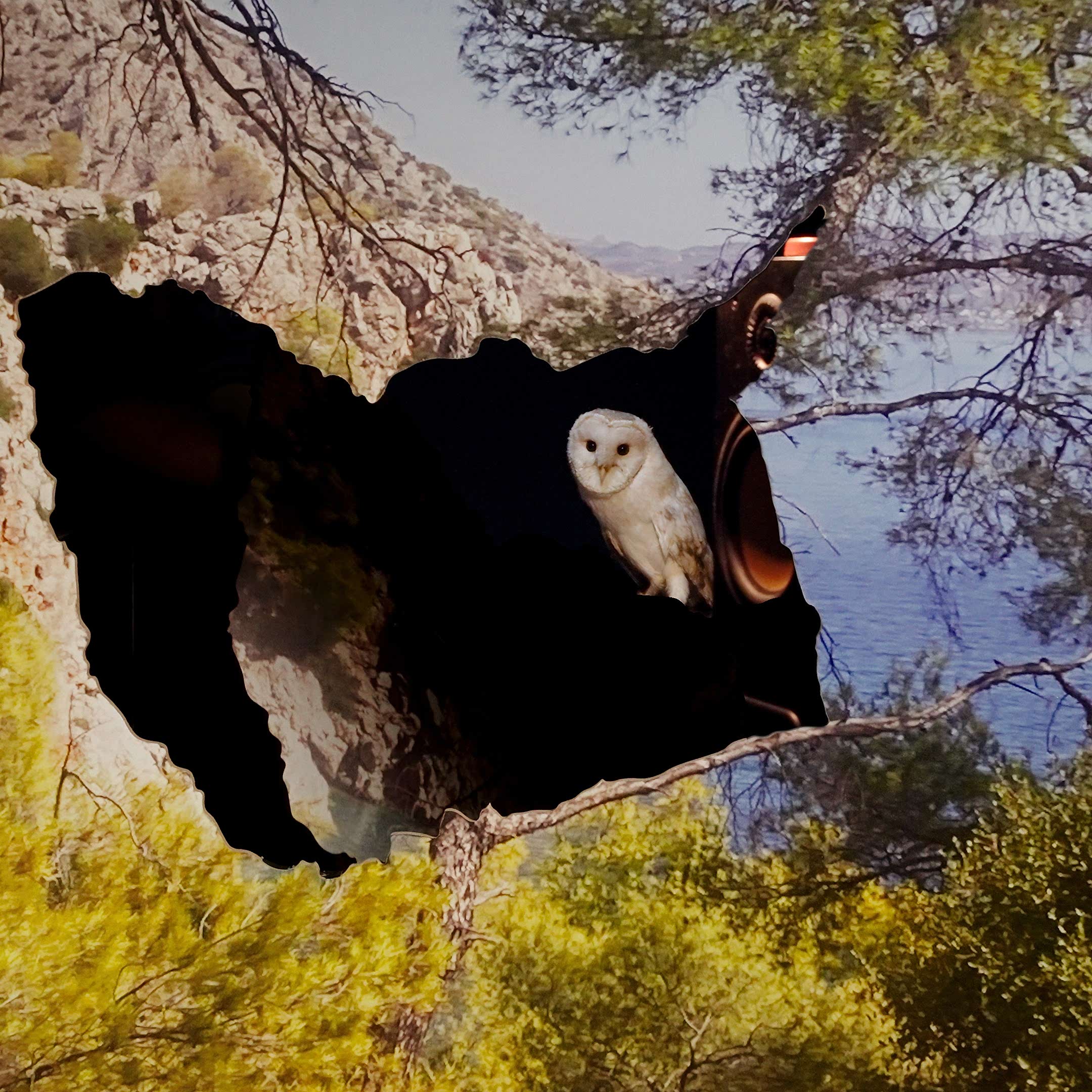  ATHANASIOS ARGIANAS: OWLS (INTO THE NIGHT) 