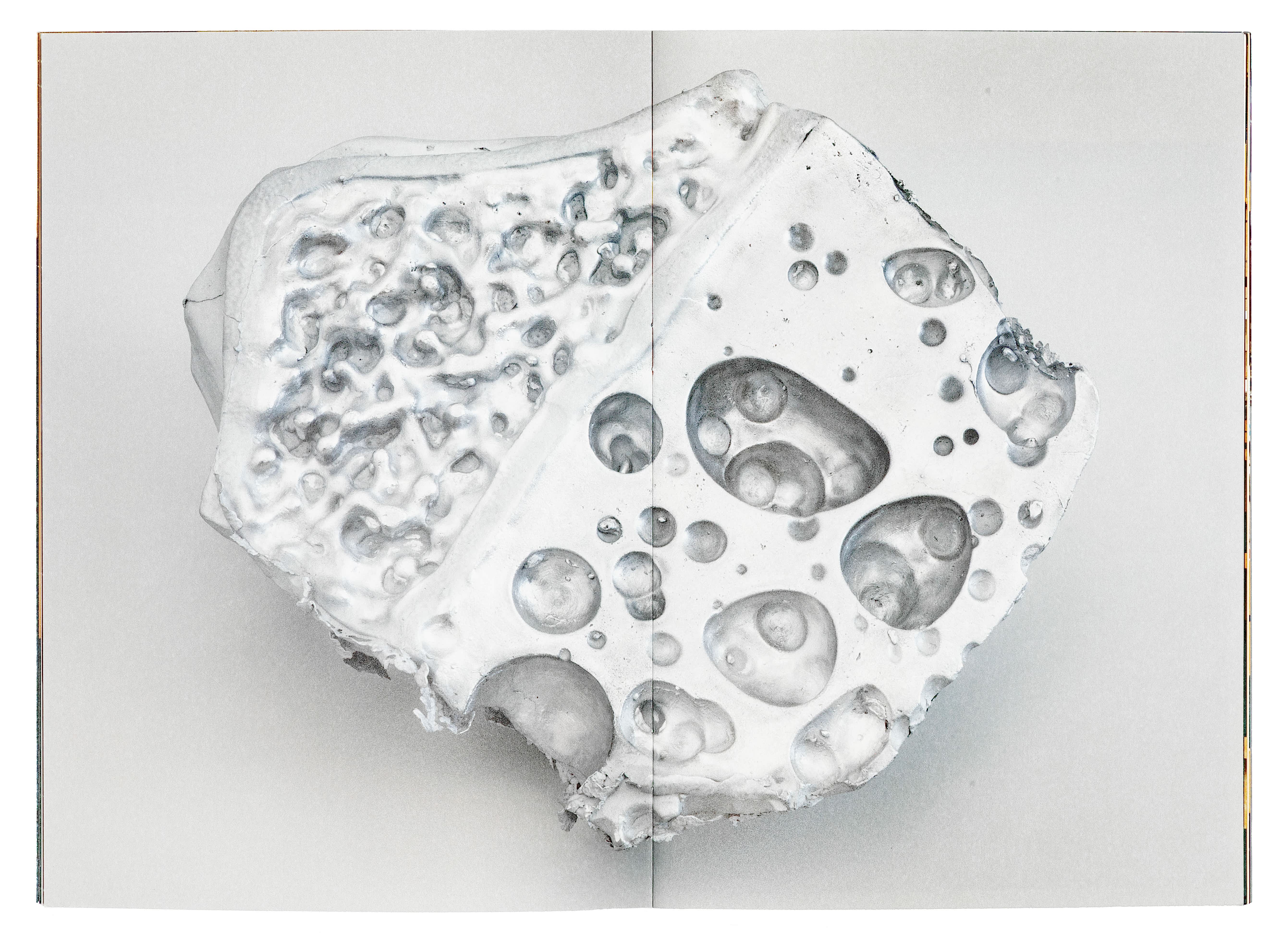 Sonia Leimer: Cosmic Dust