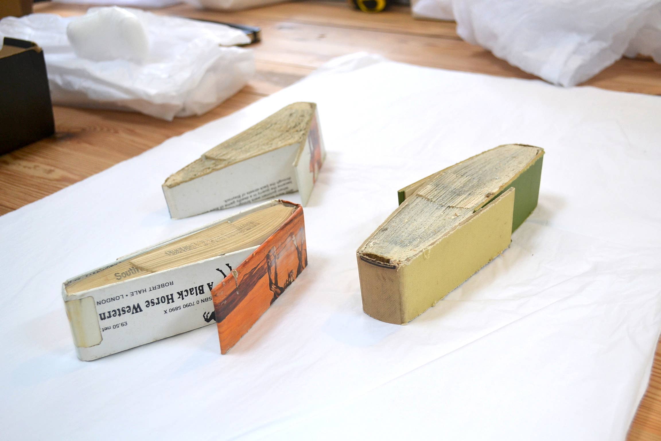 JOHN LATHAM COLLECTION CATALOGUING