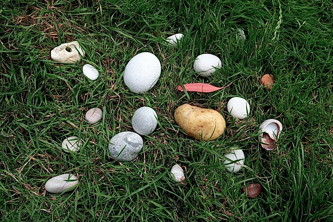 Stone Soup