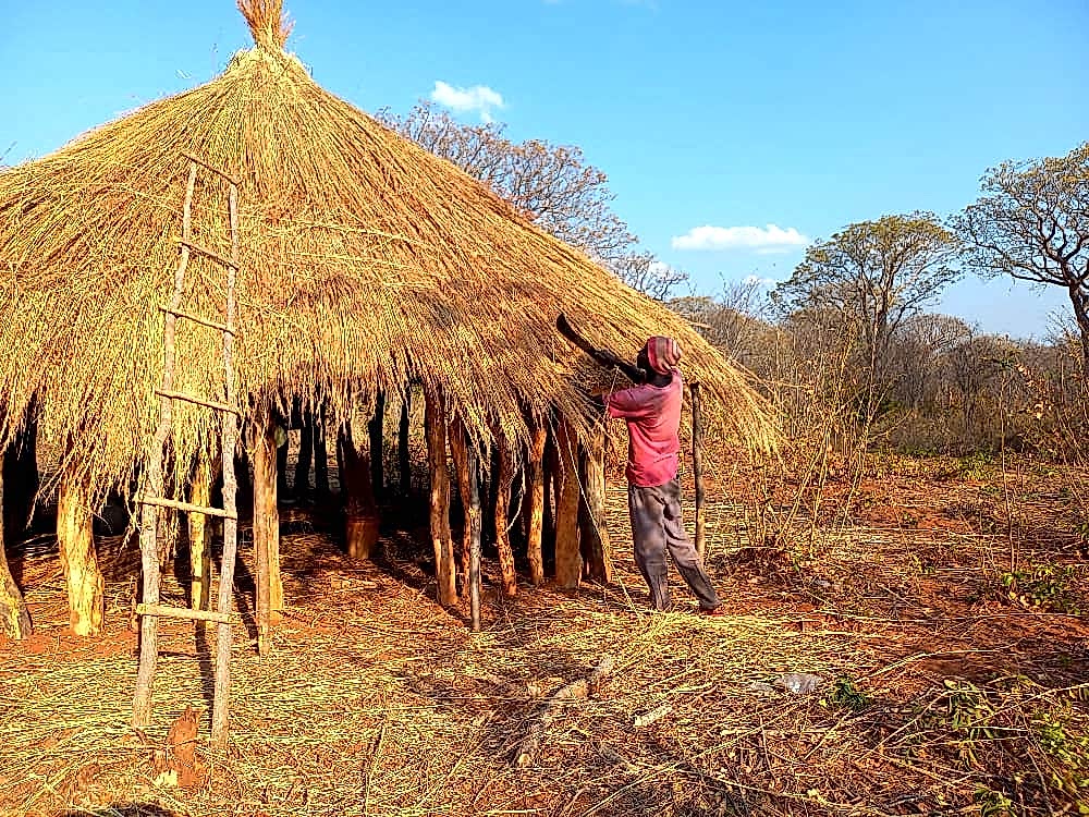 FTHO collaborating with Wayi Wayi Art Studio & Gallery (Livingstone, Zambia) on cultural exchange research project